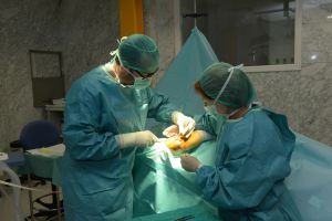 Dr. Antonio Rodríguez en la sala de operaciones realizando una cirugía 2
